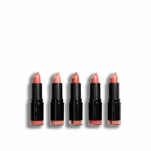 Nudes lipstick set ( Lips tick Collection) 5 x 3.2 g
