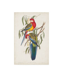 Trademark Global john Gould Tropical Parrots IV Canvas Art - 20