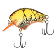 Baits and jigs for fishing