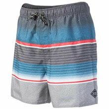 Men’s Bathing Costume Rip Curl Volley Raptures 16 Grey