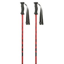 Nordic walking sticks and trekking poles