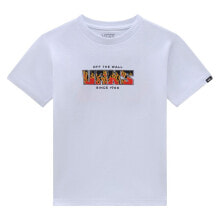 Men's sports T-shirts and T-shirts