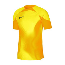 Мужские спортивные футболки Nike Gardien IV