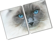 Schneidebrett Katze Blaue Augen