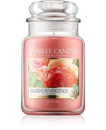 Yankee Candle Housewarmer Sun-Drenched Apricot Rose