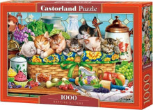 Castorland Puzzle 1000 element?w ?pi?ce kotki