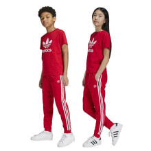 ADIDAS ORIGINALS Adicolor SST junior tracksuit pants