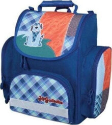 Детские школьные рюкзаки и ранцы для мальчиков Titanum Tornister Tiger Family Joy Collection Żaba