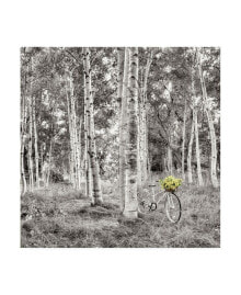 Trademark Global alan Blaustein Sunflower Bicycle Ride Canvas Art - 15.5