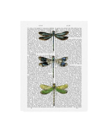 Trademark Global fab Funky Dragonflies Print 2 Canvas Art - 27