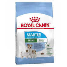 ROYAL CANIN Mini Starter Mother Poultry Adult 1kg Dog Food