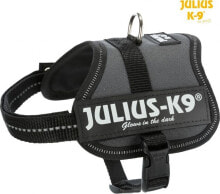 Trixie Julius-K9® Powerharness® dog harness, anthracite, Baby 2 / XS – S: 33-45 cm / 18 mm
