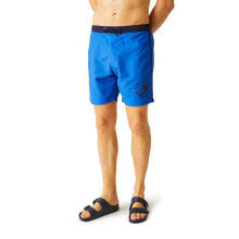 Swimming trunks and shorts