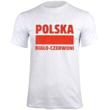 Мужские футболки футболка Polish Biało-Czerwoni белая S337909