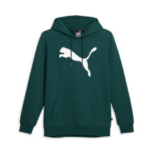 Puma Cat Logo Pullover Hoodie Mens Green Casual Outerwear 67271243