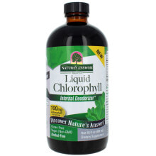 Водоросли Nature's Answer Liquid Chlorophyll Жидкий хлорофилл 100 мг 480 мл