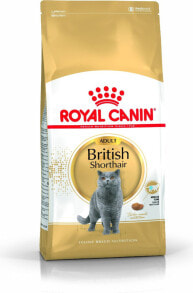 Сухие корма для кошек Royal Canin British Shorthair karma sucha dla kotow doroslych rasy brytyjski krotkowlosy 0.4kg