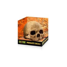 EXO TERRA Primate skull secure hiding place