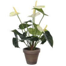 Kunstpflanze Anthurium