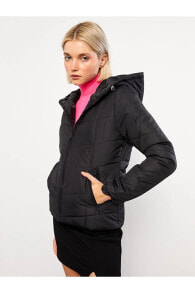 Women's Outerwear