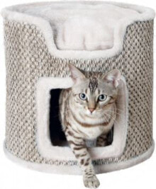 Scratching posts for cats