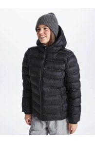 Women's Outerwear