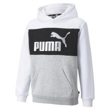 PUMA Essential+Colorblock Hoodie