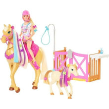 Model dolls barbie - Pferdepflegeset mit Barbie-Puppe, 2 Pferden und mehr als 20 Accessoires - Schaufensterpuppen-Zubehr - Ab 3 Jahren