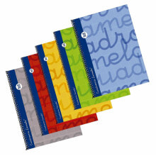 Купить школьные тетради, блокноты и дневники Lamela: Блокнот кольцевой Lamela Разноцветный Din A4 5 Предметов 80 Листов