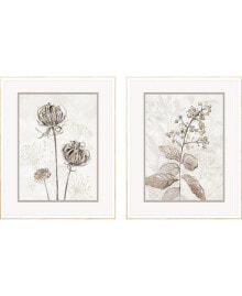 Paragon Picture Gallery dried Florals I Framed Art, Set of 2