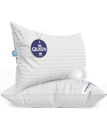 Continental Bedding firm Comfort with 700 Fill Power - Queen Size Set of 2