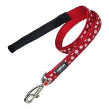 RED DINGO Puntos Leash