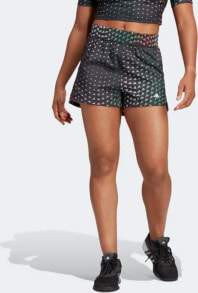 Men's Sports Shorts