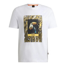 BOSS Tucan 10260136 01 Short Sleeve T-Shirt