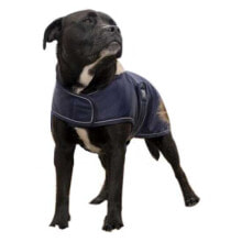 Купить одежда и обувь для собак DIEGO & LOUNA: DIEGO & LOUNA Teddy Nylon Dog Jacket