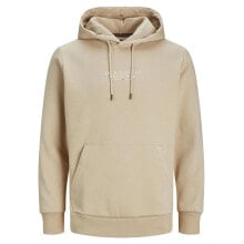 JACK & JONES Bluarchie Hoodie