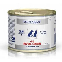 ROYAL Vet Recovery Box 195g Dog Snack 12 Units