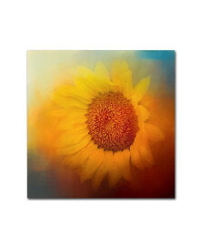 Trademark Global jai Johnson 'Sunflower Surprise' Canvas Art - 14