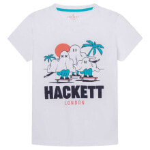 Мужские футболки и майки Hackett