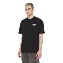 DICKIES Raven Short Sleeve T-Shirt