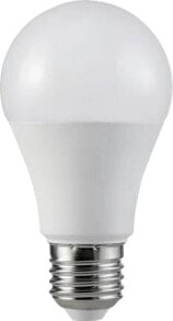 Light bulbs