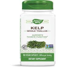 Витамины и БАДы для нормализации гормонального фона Nature's Way Kelp Бурые водоросли для здоровой функции щитовидной железы 600 мг 180 вегетарианских капсул