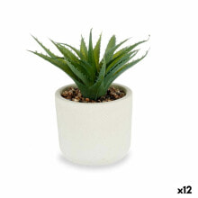 Декоративное растение сочный Пластик 14 x 18 x 14 cm (12 штук)