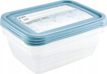 Containers and lunch boxes