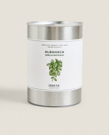 Aromatic basil garden seed tin kit