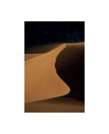 Trademark Global dan Ballard Sand Dunes 4 Canvas Art - 27