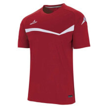 Men's sports T-shirts and T-shirts