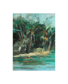 Trademark Global suzanne Wilkins Waterway Jungle I Canvas Art - 19.5