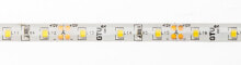 Умные светодиодные ленты Taśma LED GTV SMD2835 5m 120szt./m 6W/m 12V  (LD-2835-300-65-ZB)