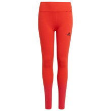 ADIDAS Aeroknit leggings